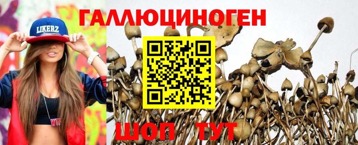 Псилоцибиновые грибы ЛСД Каспийск